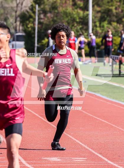 Thumbnail 1 in Kingston Tiger Relays (Boys Morning Races) photogallery.