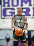 Photo from the gallery "Falcon @ Mesa Ridge"