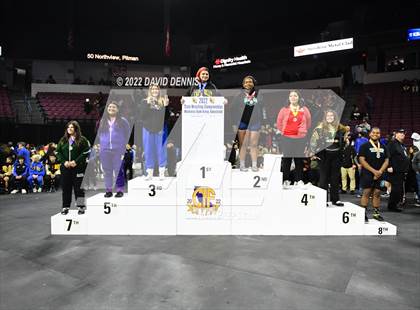 Thumbnail 3 in CIF Girls Wrestling Championships (Podium Awards) photogallery.