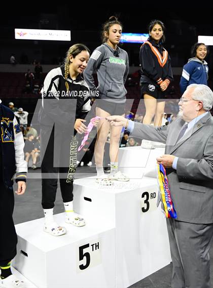 Thumbnail 3 in CIF Girls Wrestling Championships (Podium Awards) photogallery.