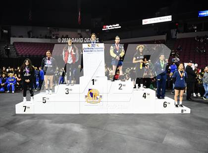 Thumbnail 1 in CIF Girls Wrestling Championships (Podium Awards) photogallery.