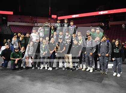 Thumbnail 3 in CIF Girls Wrestling Championships (Podium Awards) photogallery.