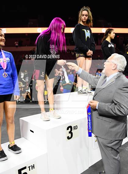 Thumbnail 1 in CIF Girls Wrestling Championships (Podium Awards) photogallery.
