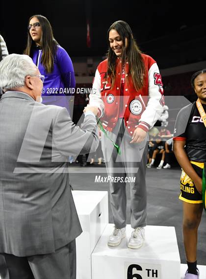 Thumbnail 1 in CIF Girls Wrestling Championships (Podium Awards) photogallery.