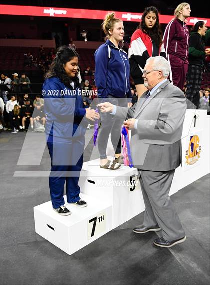 Thumbnail 3 in CIF Girls Wrestling Championships (Podium Awards) photogallery.
