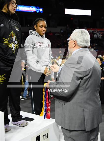 Thumbnail 2 in CIF Girls Wrestling Championships (Podium Awards) photogallery.