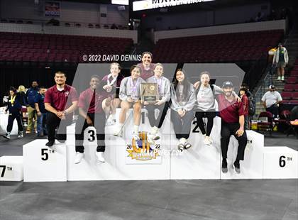 Thumbnail 3 in CIF Girls Wrestling Championships (Podium Awards) photogallery.