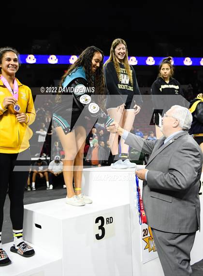 Thumbnail 2 in CIF Girls Wrestling Championships (Podium Awards) photogallery.