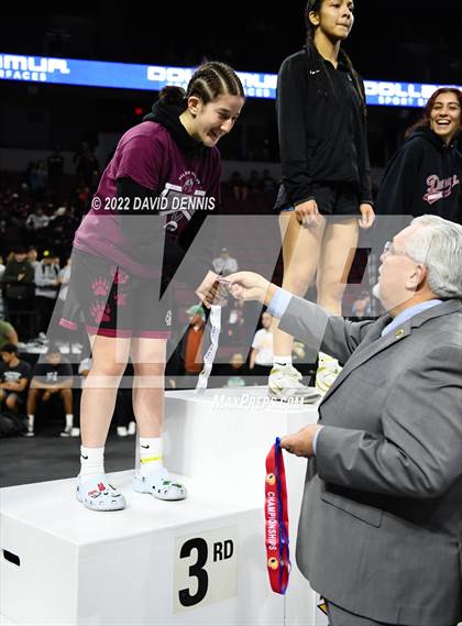 Thumbnail 3 in CIF Girls Wrestling Championships (Podium Awards) photogallery.