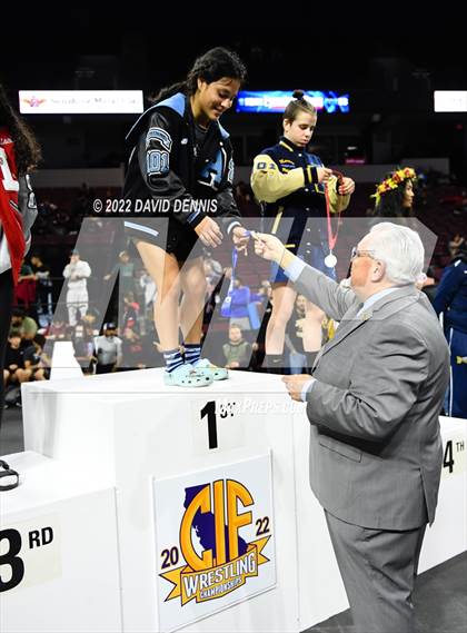 Thumbnail 3 in CIF Girls Wrestling Championships (Podium Awards) photogallery.