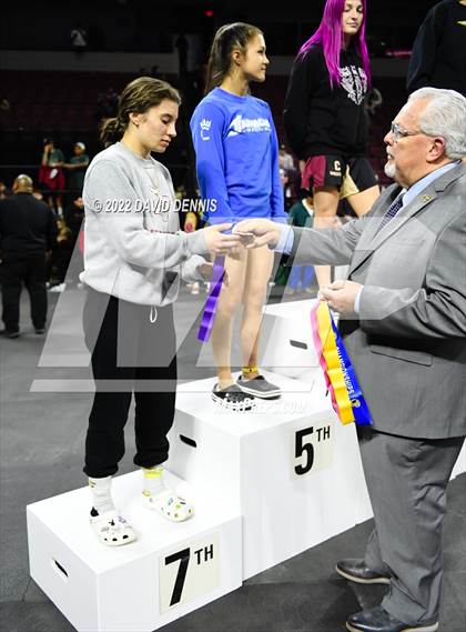 Thumbnail 1 in CIF Girls Wrestling Championships (Podium Awards) photogallery.