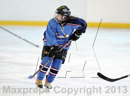 Thumbnail 1 in East Catholic vs. Hall/Conard (Pioneer Valley Winter Classic) photogallery.