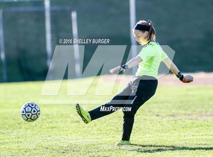 Thumbnail 2 in Staples vs Norwich Free Academy photogallery.