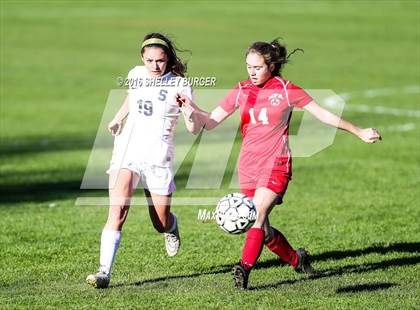 Thumbnail 1 in Staples vs Norwich Free Academy photogallery.