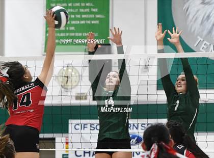 Thumbnail 1 in Whittier @ Templeton photogallery.