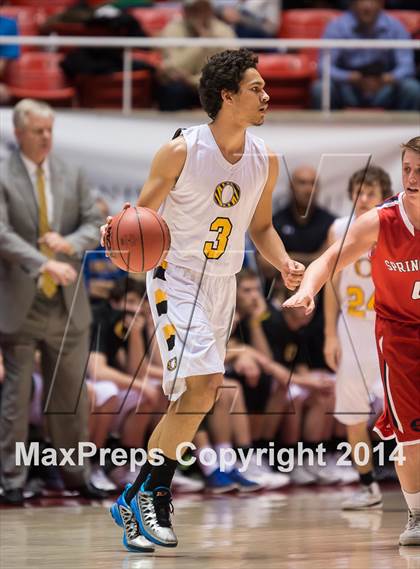 Thumbnail 2 in Springville vs. Orem (UHSAA 4A Semifinal) photogallery.