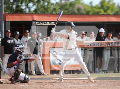 Thumbnail 1 in Rancho Cotate vs. Roseville (CIF NorCal Division 3 Final) photogallery.