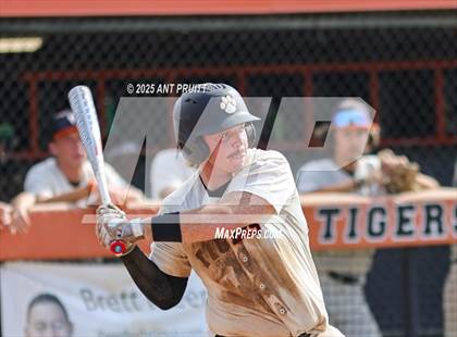 Thumbnail 3 in Rancho Cotate vs. Roseville (CIF NorCal Division 3 Final) photogallery.