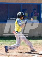 Photo from the gallery "Questa @ Penasco"