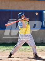 Photo from the gallery "Questa @ Penasco"