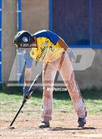 Photo from the gallery "Questa @ Penasco"