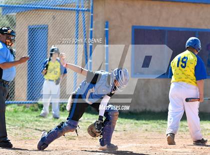 Thumbnail 1 in Questa @ Penasco photogallery.