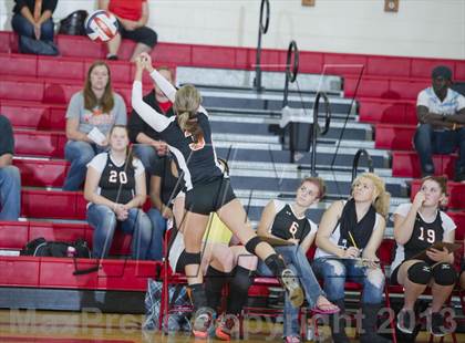 Thumbnail 1 in Webster @ Luck photogallery.