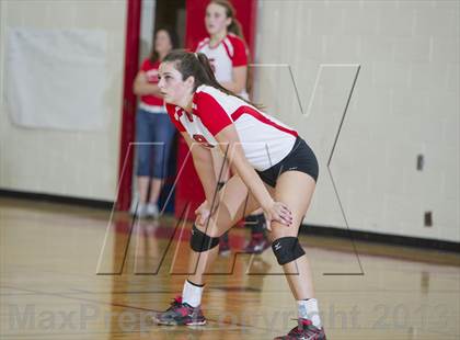 Thumbnail 1 in Webster @ Luck photogallery.