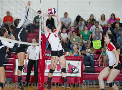 Thumbnail 3 in Webster @ Luck photogallery.