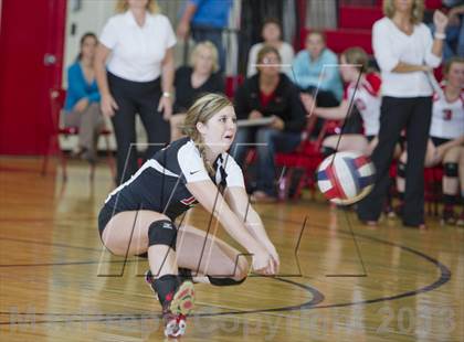 Thumbnail 3 in Webster @ Luck photogallery.