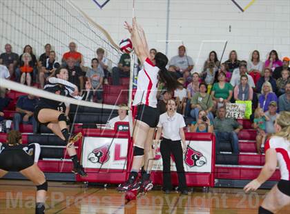 Thumbnail 1 in Webster @ Luck photogallery.