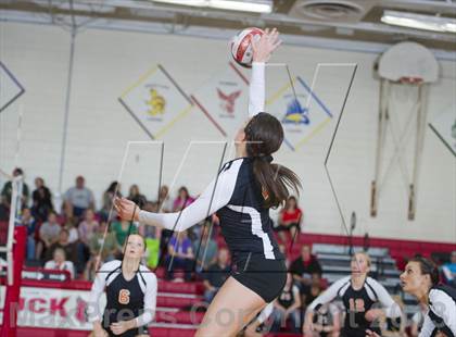 Thumbnail 3 in Webster @ Luck photogallery.