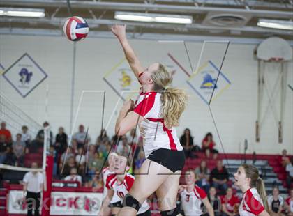 Thumbnail 3 in Webster @ Luck photogallery.