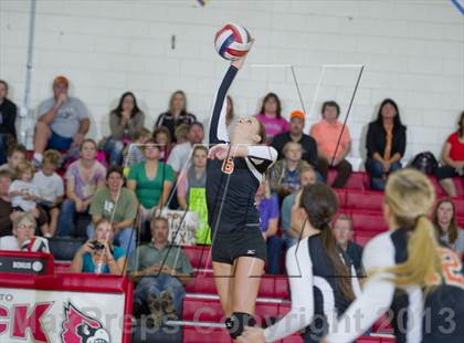 Thumbnail 1 in Webster @ Luck photogallery.