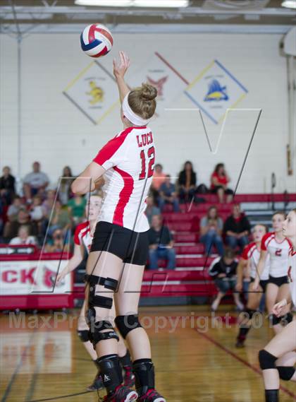 Thumbnail 3 in Webster @ Luck photogallery.