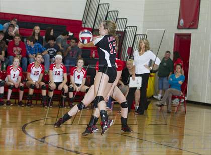 Thumbnail 1 in Webster @ Luck photogallery.