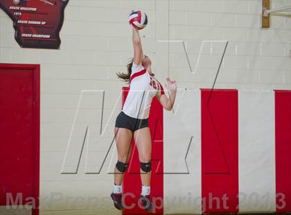 Thumbnail 1 in Webster @ Luck photogallery.