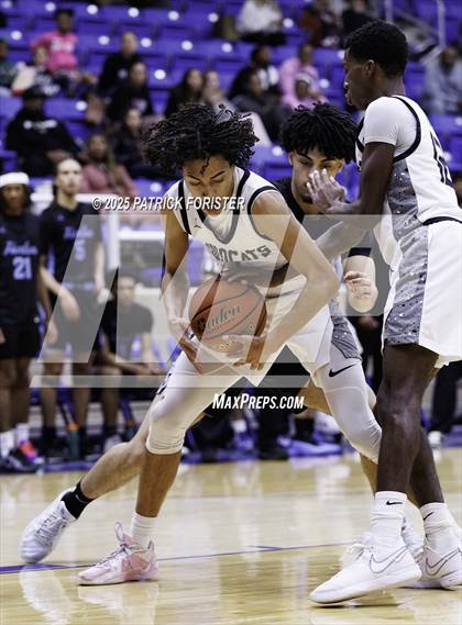 Thumbnail 1 in Harlan @ Sotomayor photogallery.