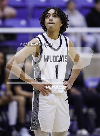 Thumbnail 1 in Harlan @ Sotomayor photogallery.