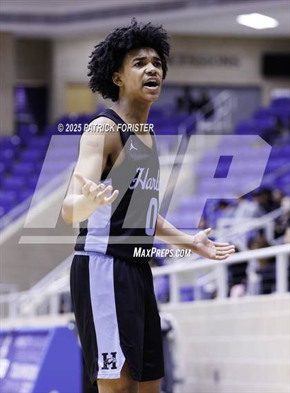 Thumbnail 3 in Harlan @ Sotomayor photogallery.