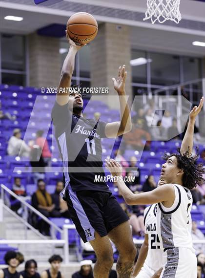 Thumbnail 2 in Harlan @ Sotomayor photogallery.