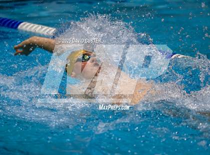 Thumbnail 3 in Oakton @ Westfield photogallery.