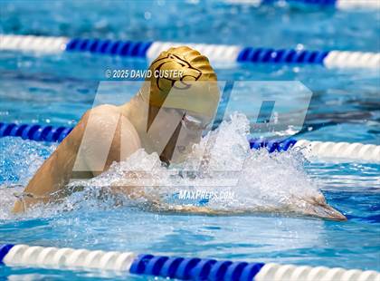 Thumbnail 2 in Oakton @ Westfield photogallery.