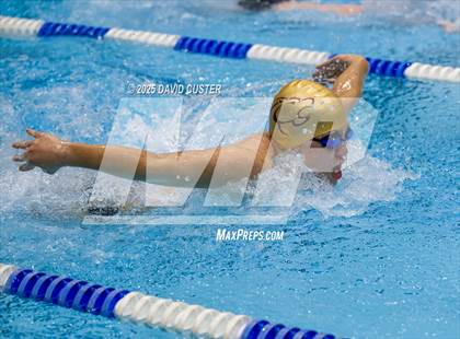 Thumbnail 3 in Oakton @ Westfield photogallery.
