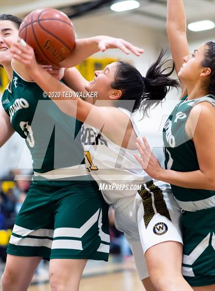 Thumbnail 1 in Palo Alto @ Wilcox photogallery.