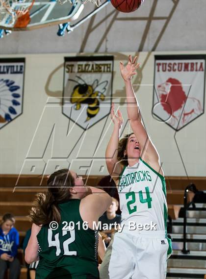 Thumbnail 2 in North Callaway vs New Haven (South Callaway Varsity Tournament) photogallery.