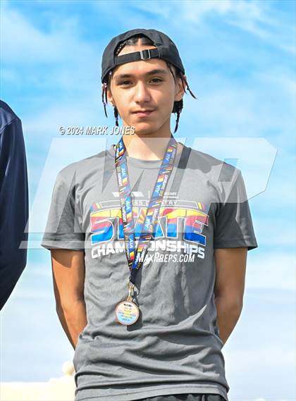 Thumbnail 2 in AIA D-III Boys State Championship (Awards) photogallery.