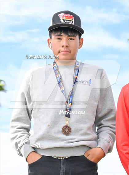 Thumbnail 2 in AIA D-III Boys State Championship (Awards) photogallery.
