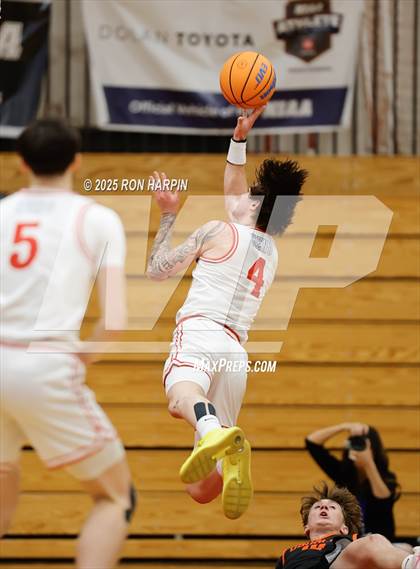 Thumbnail 1 in Douglas @ Reno photogallery.