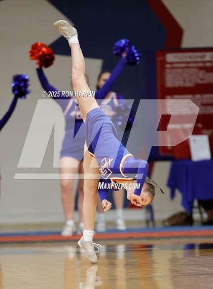 Thumbnail 1 in Douglas @ Reno photogallery.